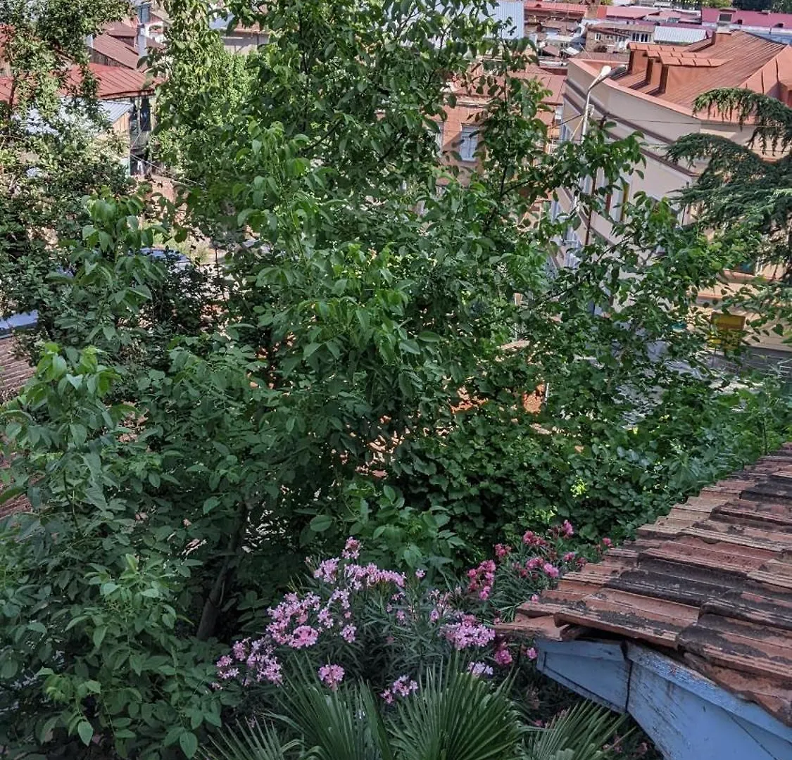 ***  Hotel Kalanga Tiflis Georgia